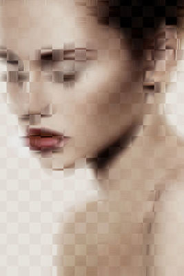 PIXELISM VISION II 36X54