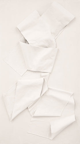 TANGLED UP 40X72