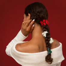 Holiday Mini Claw Clips 6pc Set