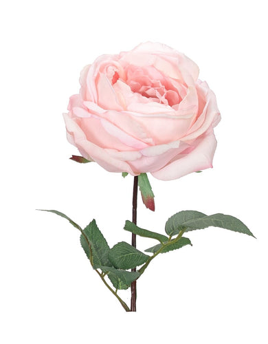 PInk Rose Stem