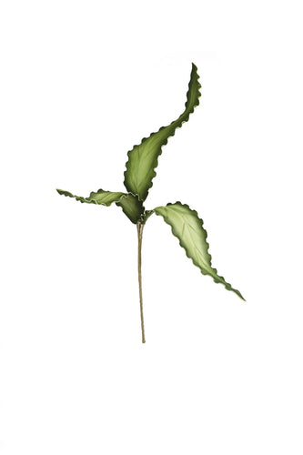 GREEN LEAF STEM