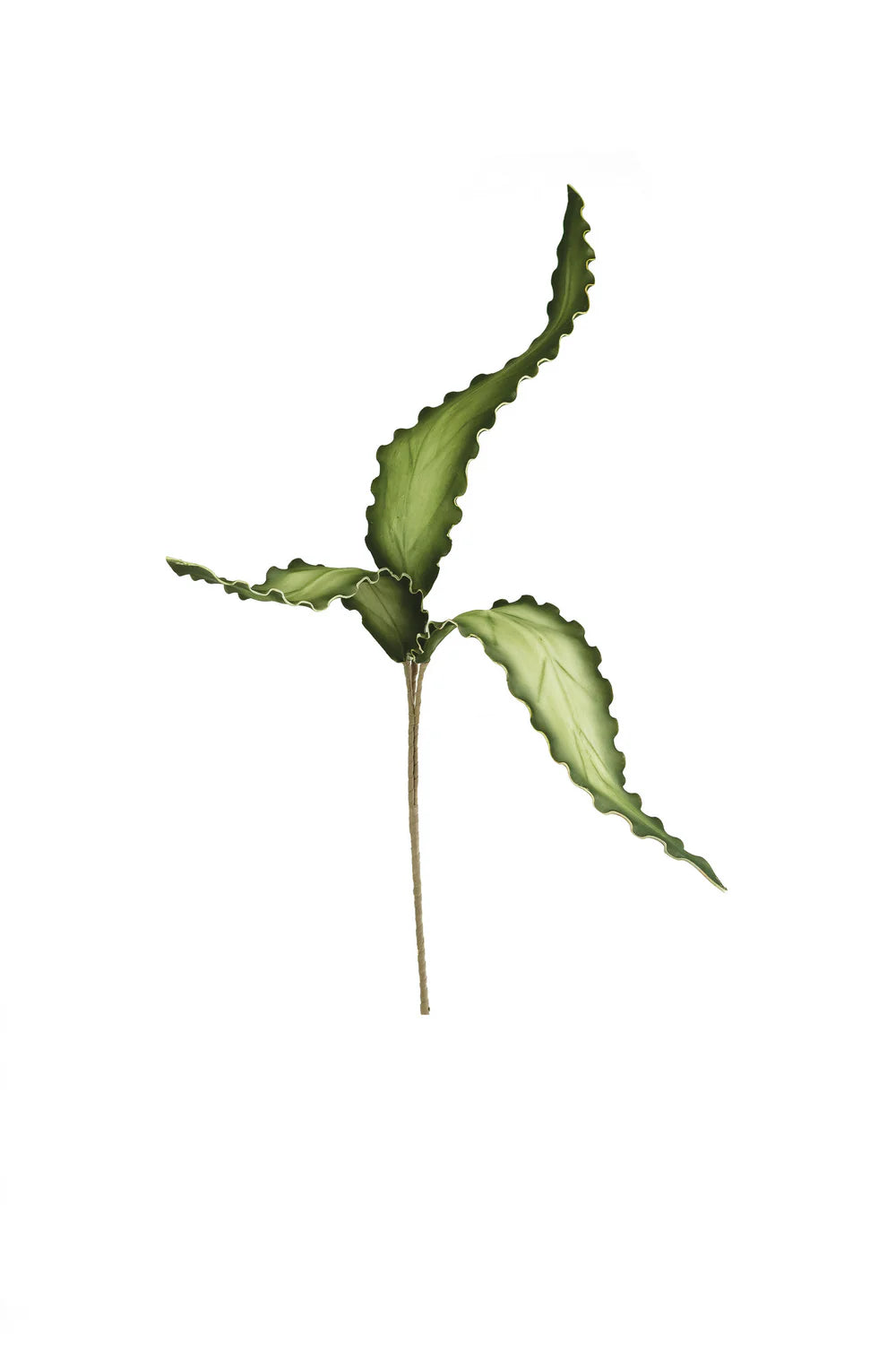 GREEN LEAF STEM