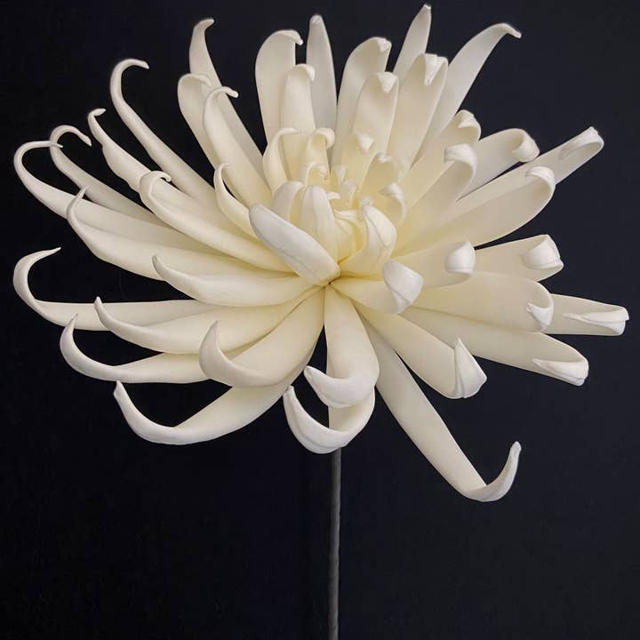 Cream Foam Flower 20