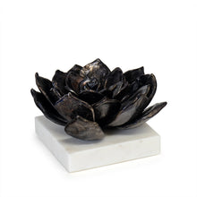 Succulent Sculpture 1, Blackened Zinc