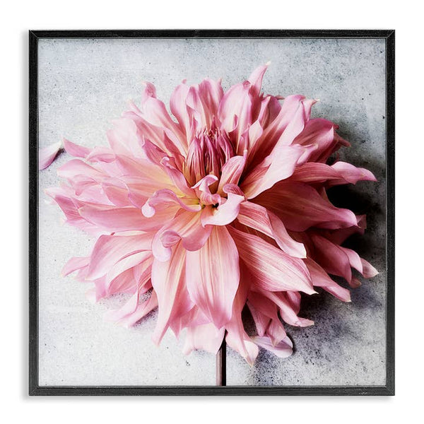 Pink Curled Petals Floral 12x12