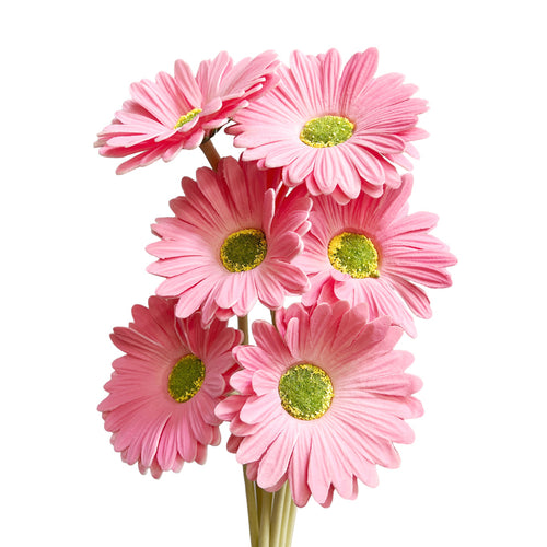 PINK DAISY STEMS-SET OF 6