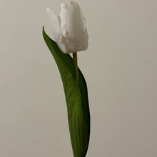 Real Touch White Tulip