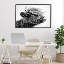 Handsome Highland Portrait 30x20