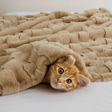 Tan Faux Fur Velvet Throw 50x60