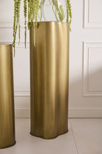 Rebel Column