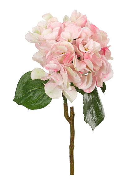 LIGHT PINK HYDRANGEA STEM 24