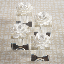 Modena Moroccan Peony Small Diffuser