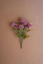 Purple Dahlia Bundle