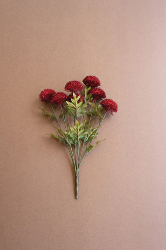 Red Ball Dahlia Bundle