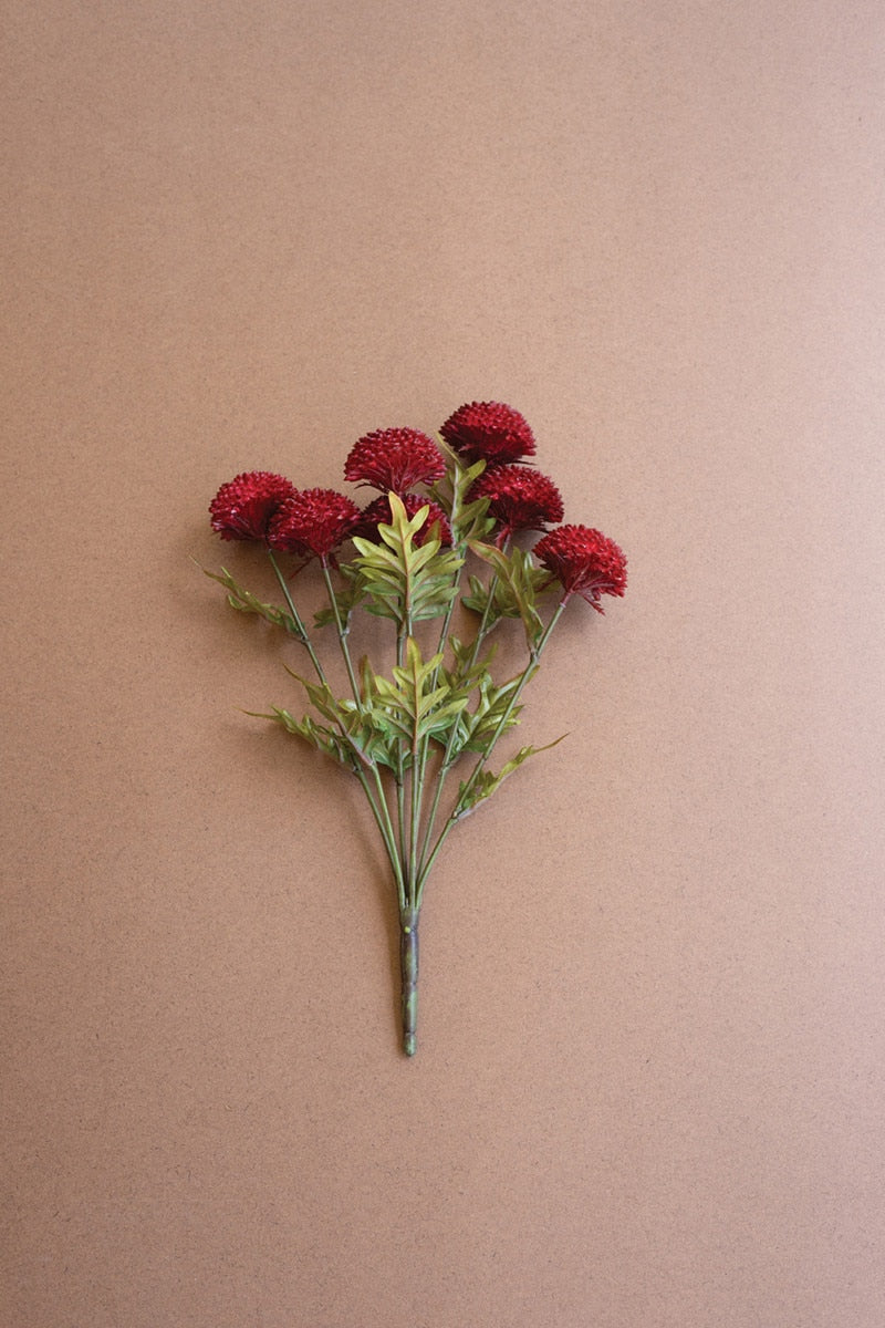 Red Ball Dahlia Bundle