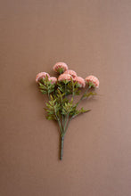Light Pink Dahlia Bundle