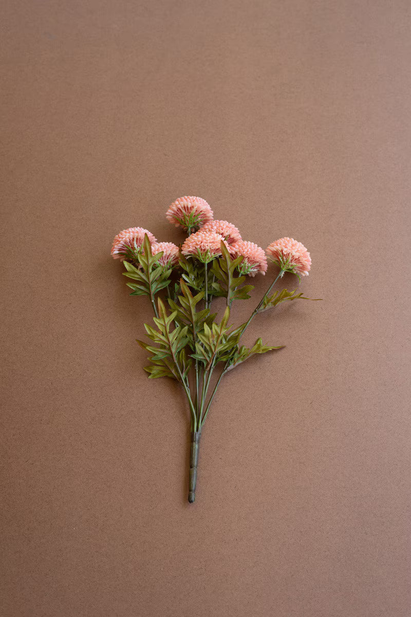 Light Pink Dahlia Bundle