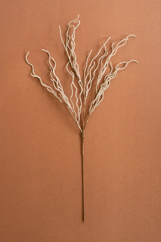 Cream Feathery Plume