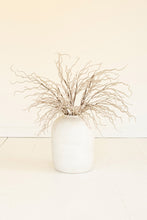 Cream Feathery Plume