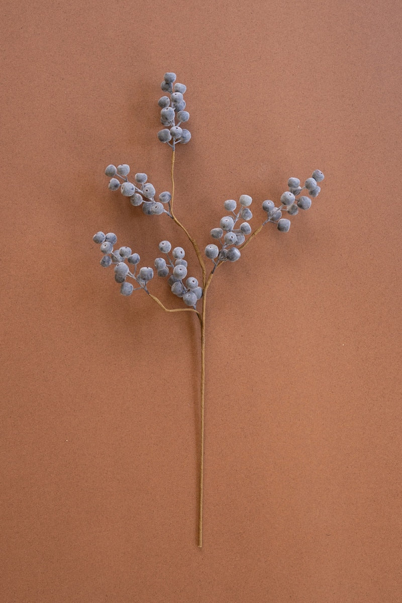Berry Stem