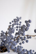 Berry Stem