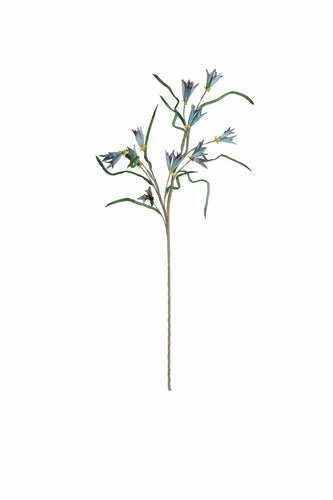 Purple Petal Stem