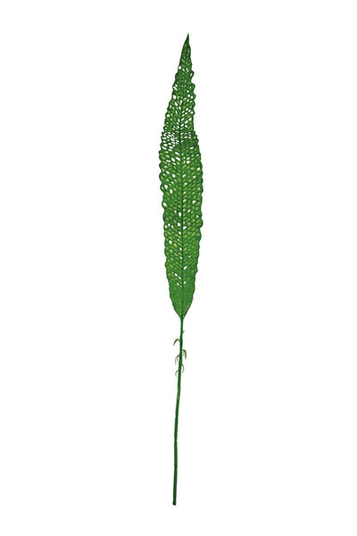 Green Leaf Botanica Stem
