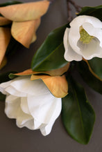 Magnolia Bloom Spray
