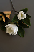 Magnolia Bloom Spray