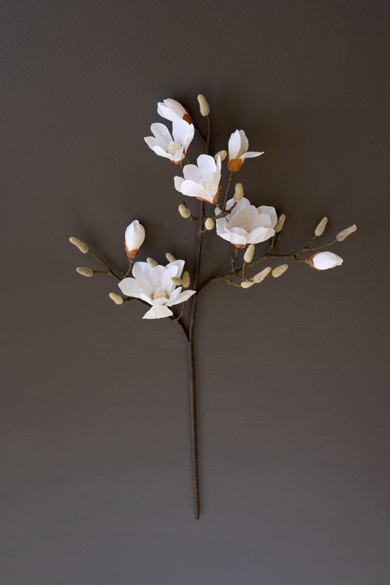 Japanese Magnolia Branch
