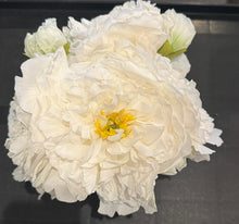Rustic White Peony in Square Glass Vase-Medium