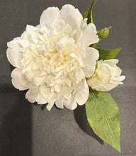 White Peony in Square Glass Vase-Small