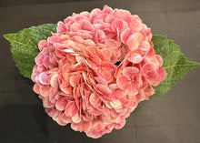 Dark Pink Hydrangea in Cylindrical Glass Vase-Small