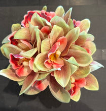 Green Cymbidium in Square Glass Vase-Small