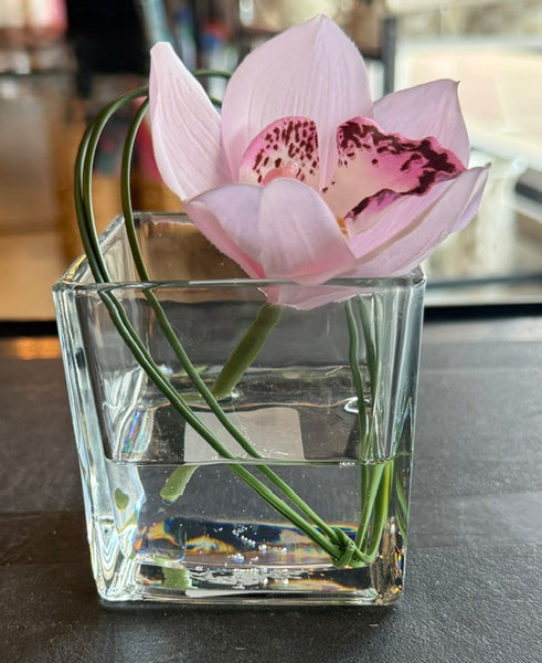 Light Pink Mini Cymbidium in Square Glass Vase-Large