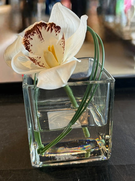 White Mini Cymbidium in Square Glass Vase-Large