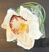 White Mini Cymbidium in Square Glass Vase-Large