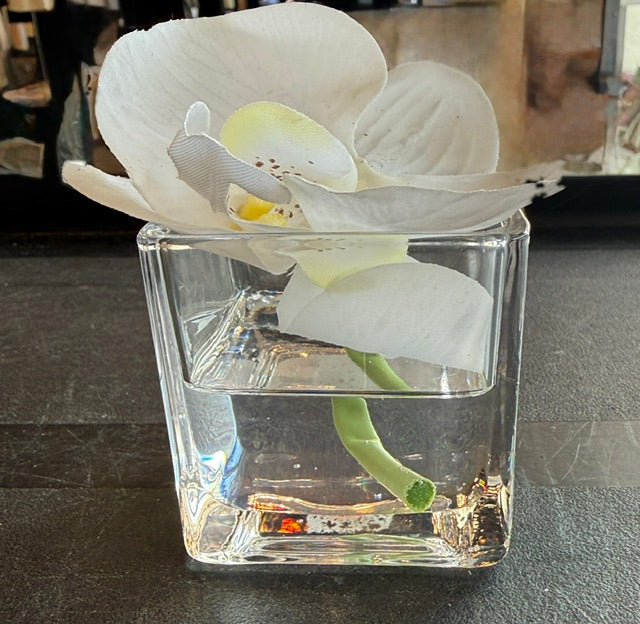 White Orchid Mini in Square Glass Vase
