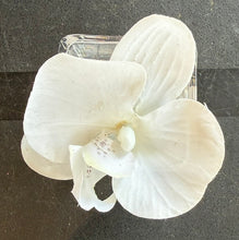 White Orchid Mini in Square Glass Vase