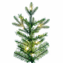 9' Douglas Fir Dura-Lit