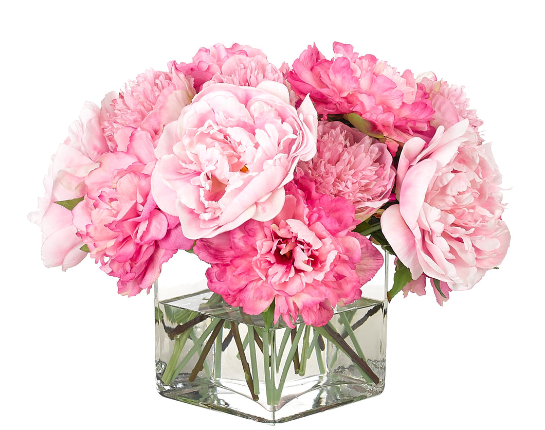 PINK PEONY IN GLASS CUBE