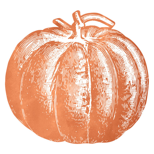 Die-Cut Pumpkin Placemat 12pk