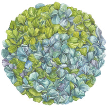 Hydrangea Placemat 12pk