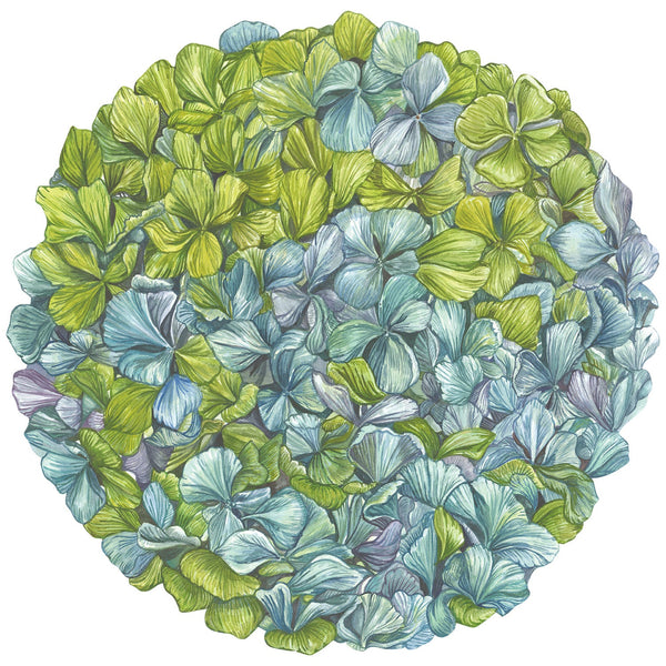 Hydrangea Placemat 12pk