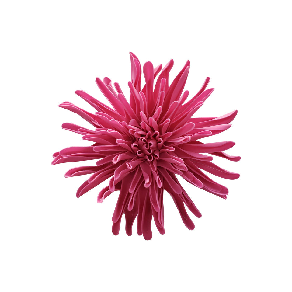 BEAUTY MUM FLOWER HEAD