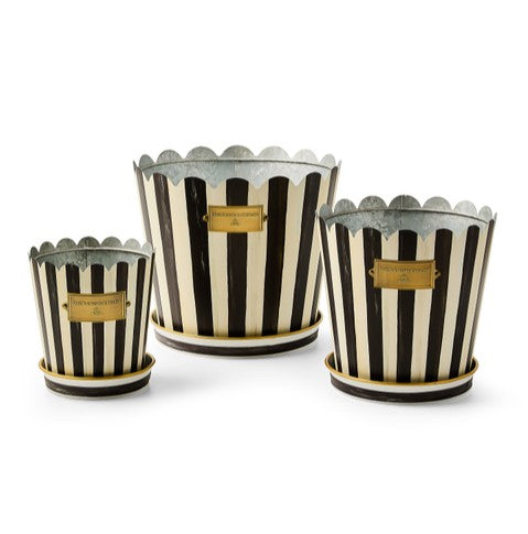 Courtly Stripe Pot and Saucer-Large