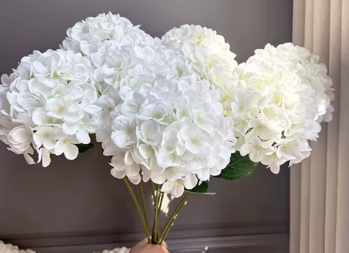 White Hydrangea 28