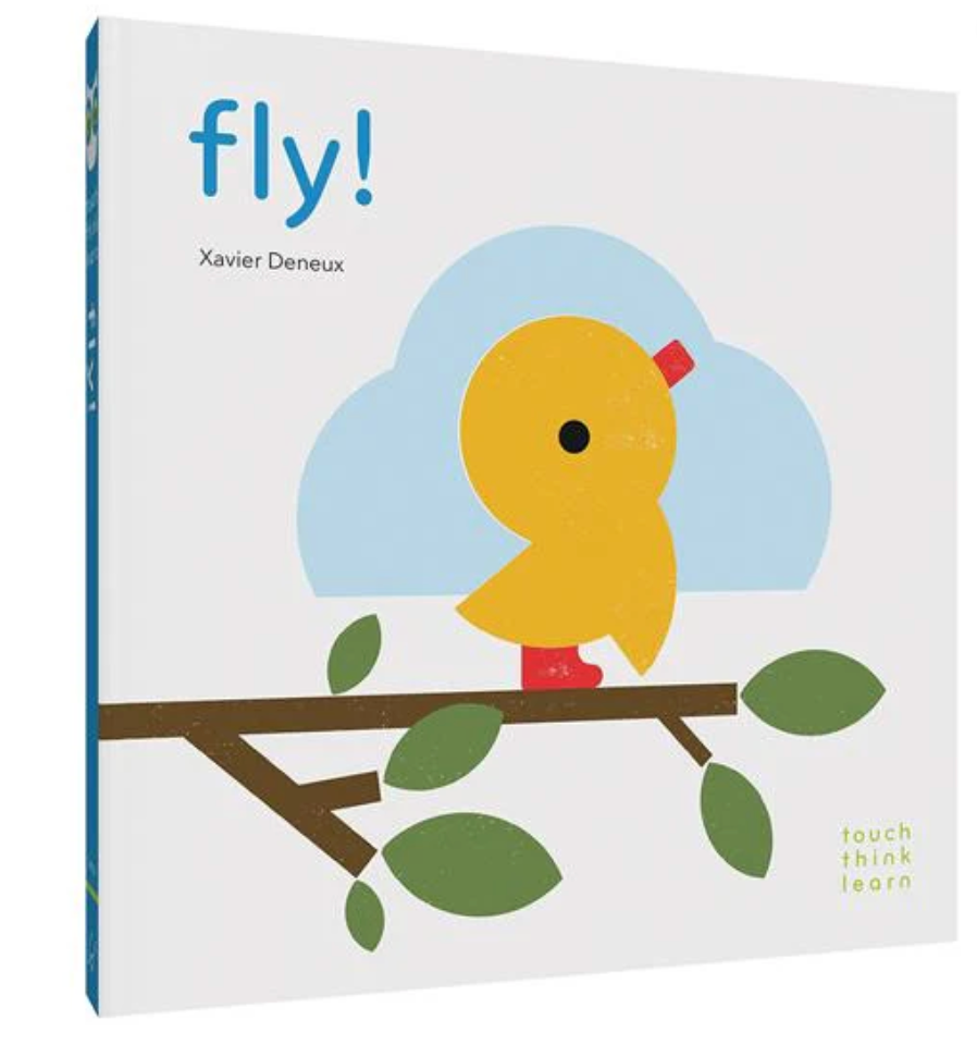 TouchThinkLearn: Fly! Book