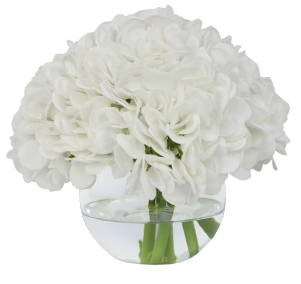 White Hydrangea in Glass Vase-Medium