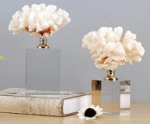 White Coral Crystal Base Sculpture-Large